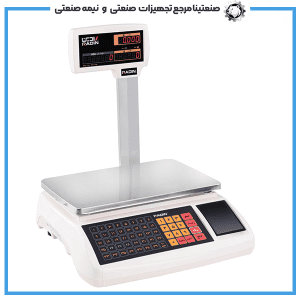 ترازو 40 کیلوگرم رادین مدل 5600 با علمک