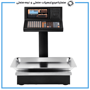 ترازو پرینتردار رادین مدل ۸۸۰۰GPRS با ظرفیت ۴۰ کیلوگرم