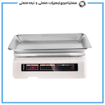 ترازوی 40 کیلوگرم رادین مدل W5600 بدون علمک - Image 2