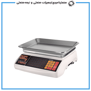 ترازوی 40 کیلوگرم رادین مدل W5600 بدون علمک